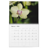 Tijdloze Orchideeën kalender (Feb 2026)