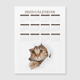 TIJDSCHEMA 2023 MIGNON CHAT