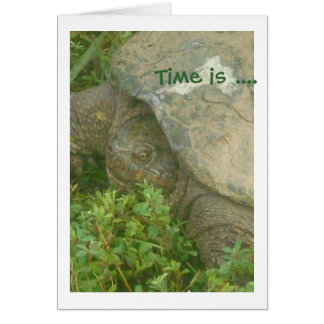 Tijdschildpad