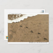 Tijdspad... Briefkaart (Voorkant / Achterkant)