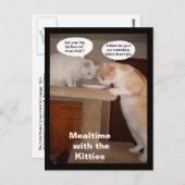 Tijdstip met de Katten Briefkaart (Voorkant / Achterkant)