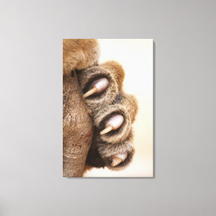 tijgelpoot canvas afdruk