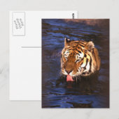 Tijger2 Briefkaart (Voorkant / Achterkant)
