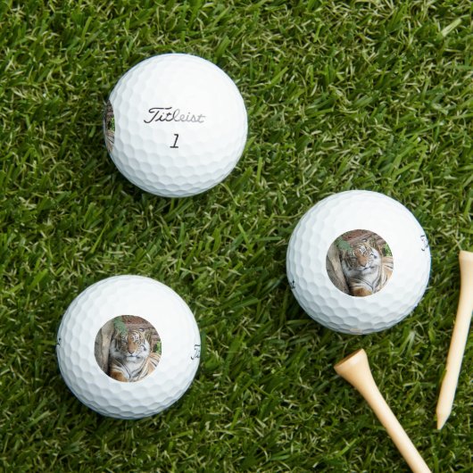 Tijger 005 golfballen (Insitu Gras)