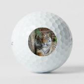 Tijger 005 golfballen (Voorkant)