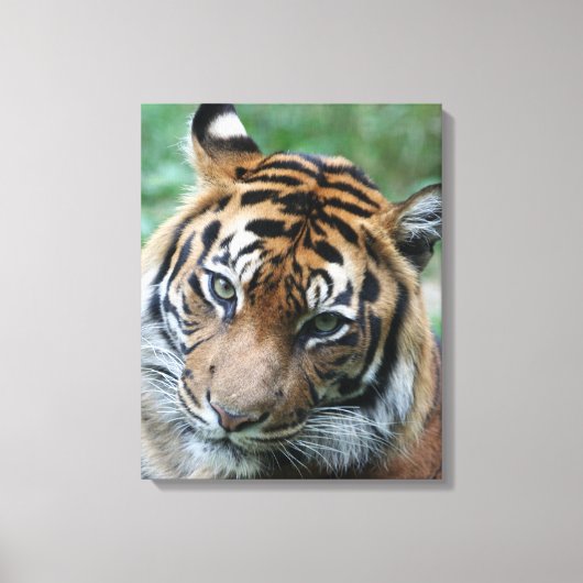 Tijger 013 canvas afdruk (Voorkant)