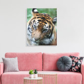 Tijger 013 canvas afdruk (Insitu (Woonkamer))