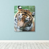 Tijger 013 canvas afdruk (Insitu (Houten vloer))