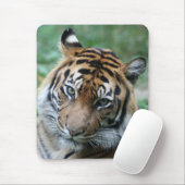 Tijger 013 muismat (Met muis)