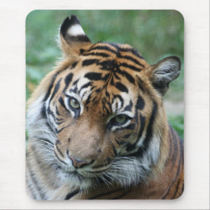 Tijger 013 muismat