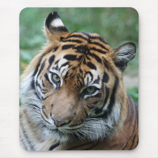 Tijger 013 muismat (Voorkant)