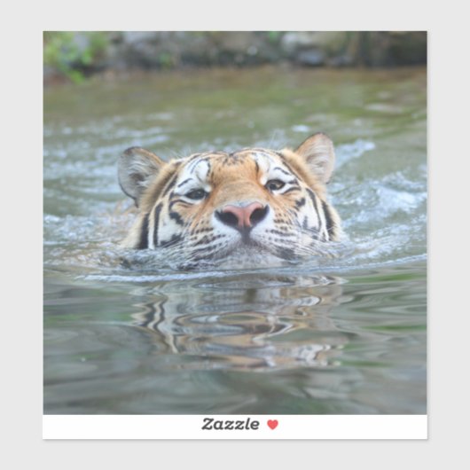 Tijger 028 sticker (Vel)