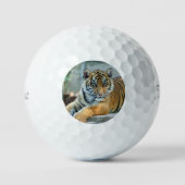 Tijger 034 golfballen (Voorkant)