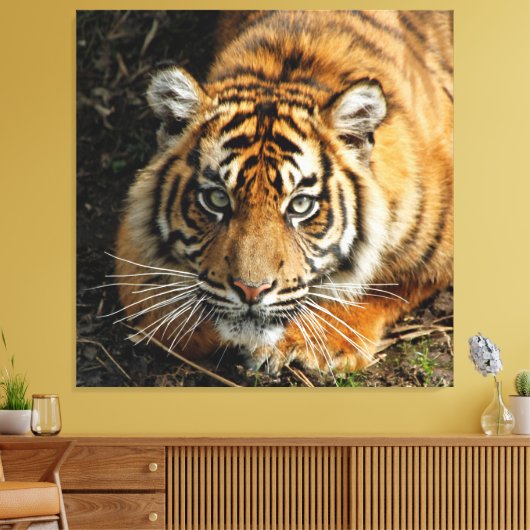 Tijger 037 canvas afdruk (Insitu (Woonkamer))