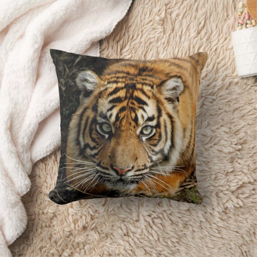 Tijger 037 kussen (Deken)