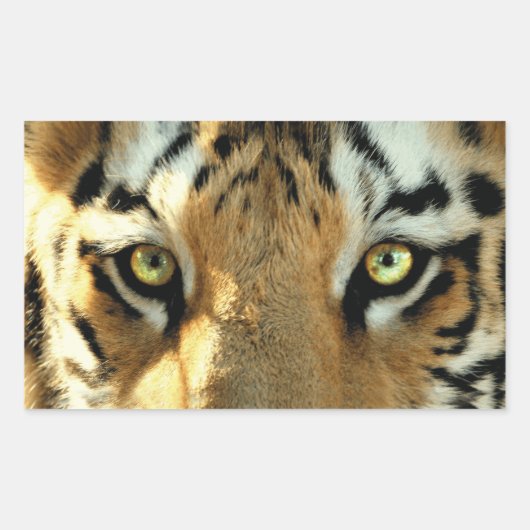 Tijger 1 - Sticker (Voorkant)