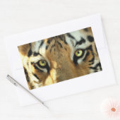 Tijger 1 - Sticker (Envelop)