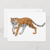 Tijger 2 briefkaart (Voorkant / Achterkant)