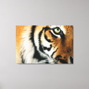 Tijger 2 - Gewikkeld Canvas Afdruk