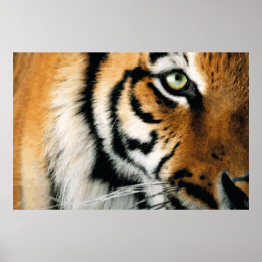 Tijger 2 - Poster (Voorkant)
