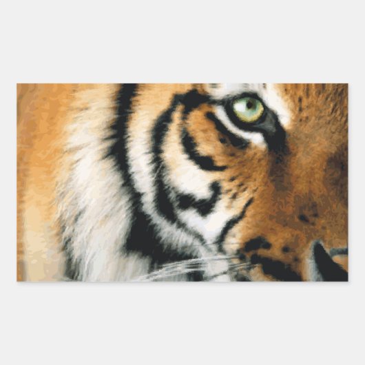 Tijger 2 - Sticker (Voorkant)