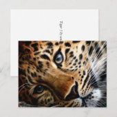 Tijger 3 - Briefkaart (Voorkant / Achterkant)