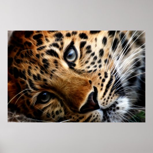 Tijger 3 - Poster (Voorkant)