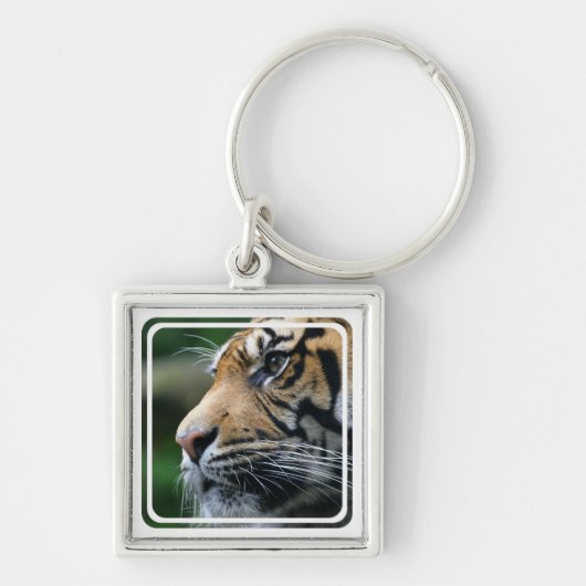 Tijger Afbeelding Sleutelhanger (Voorkant)
