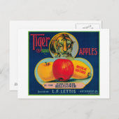 Tijger Apple Crate LabelWatsonville, CA Briefkaart (Voorkant / Achterkant)