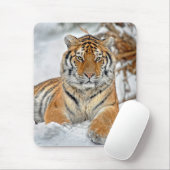 Tijger Beauty in sneeuw Muismat (Met muis)