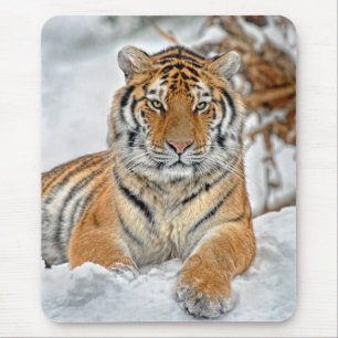 Tijger Beauty in sneeuw Muismat