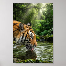 Tijger bij Jungle Pool Wildlife Matte Muurposter