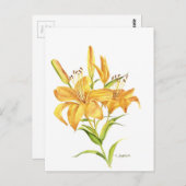 Tijger Briefkaart (Voorkant / Achterkant)