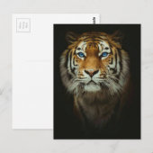 tijger briefkaart (Voorkant / Achterkant)