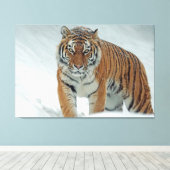 tijger canvas afdruk (Insitu (Houten vloer))
