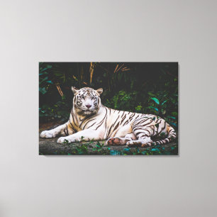 tijger canvas afdruk