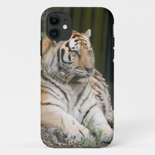 tijger iPhone 11 hoesje