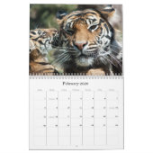 Tijger Cubs Kalender (Feb 2026)