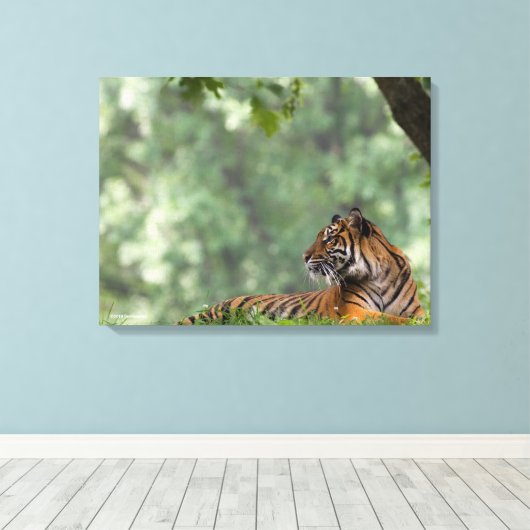 Tijger die onder een boom springt canvas afdruk (Insitu (Houten vloer))