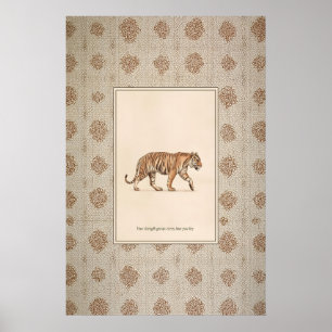 Tijger Dier Illustratie Poster Wandelende Tijger K
