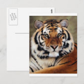 Tijger door Psyco Briefkaart (Voorkant / Achterkant)