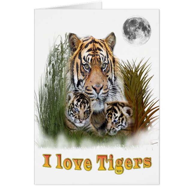 Tijger en cubs (Voorkant)