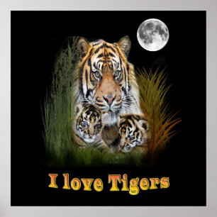 Tijger- en cubuskunst poster