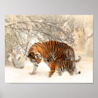 Tijger en kub in sneeuwposter
