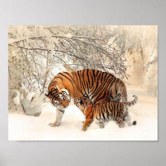 Tijger en kub in sneeuwposter poster (Voorkant)