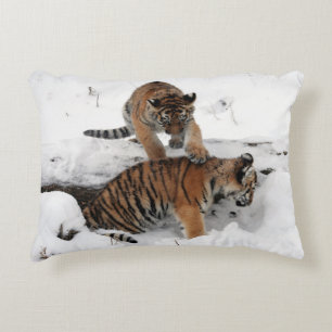 Tijger en kubussen die in de sneeuw spelen accent kussen