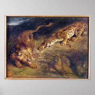 Tijger en lion poster