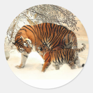 Tijger en welp, winters landschap, ronde sticker