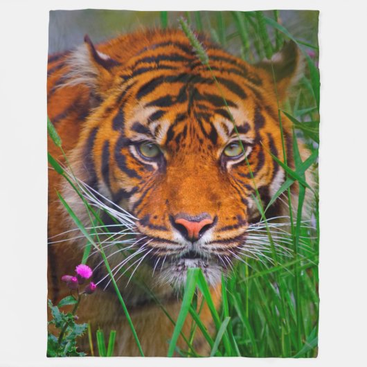 tijger fleece deken (Voorkant)