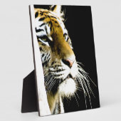 tijger fotoplaat (Zijkant)